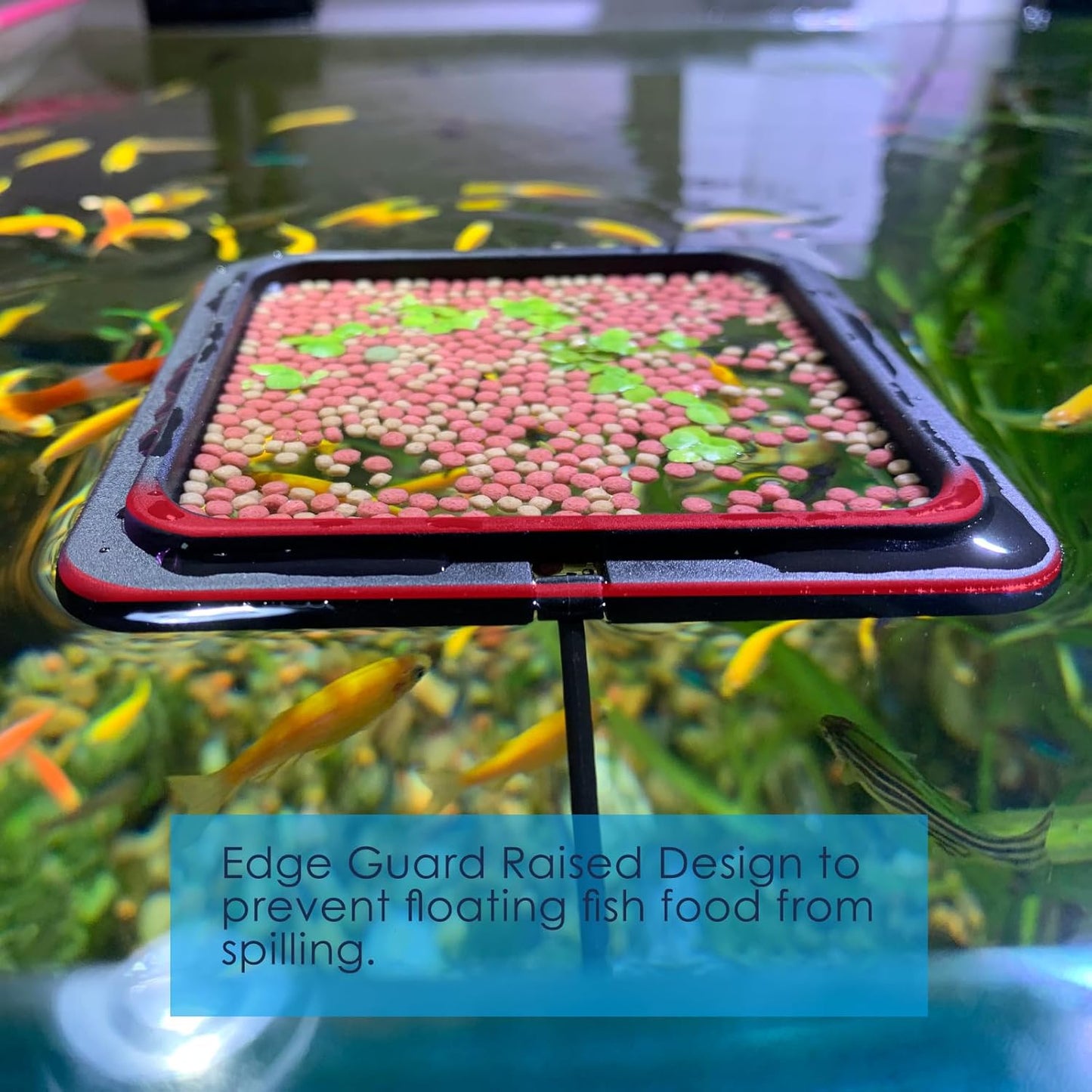 Magnetic Fish Feeding Ring, Floating Aquarium Feeder Ring for Fish Tank，Betta Feeding Ring for Goldfish, Guppy, Fresh/Saltwater Tanks- Prevents Food Scattering and Anti-Falling Off（Patented Product）