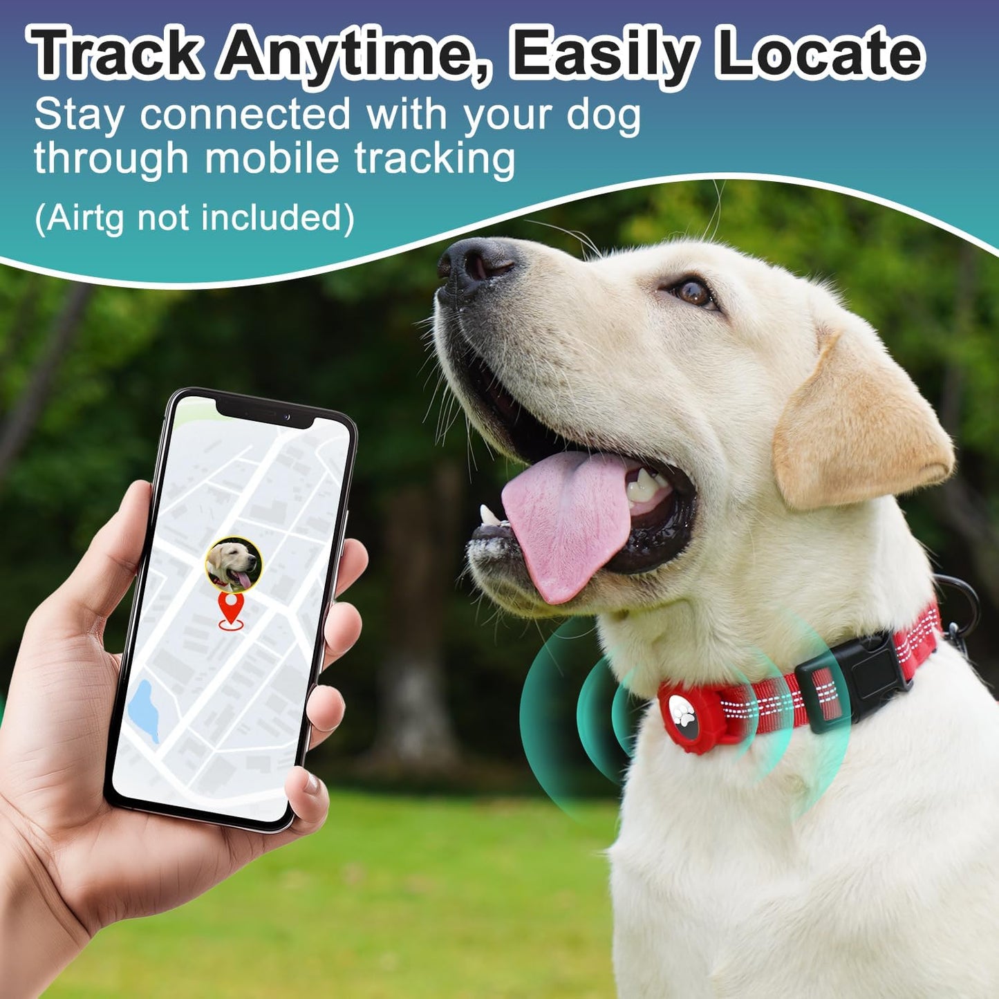 Martingale Dog Collar with AirTag Holder, Reflective Nylon, Quick Release Buckle, No Pull Pet Training Collars for Small Medium Large Dogs (Black, Medium)