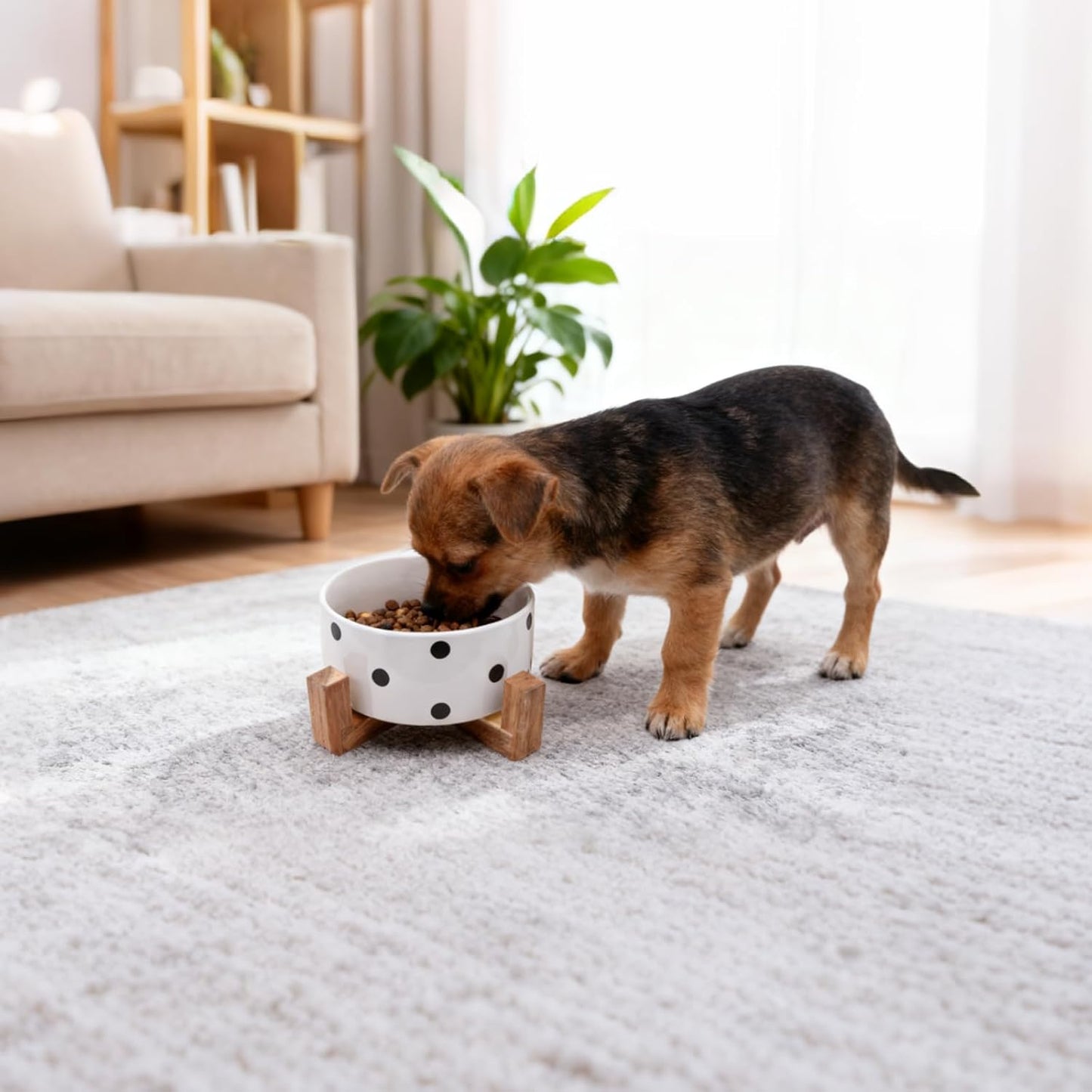 28.74 OZ Elevated Ceramic Dog Bowl Set with Acacia Wood Stand - 3.6 Cup Cat Food Bowl Raised Pet Dish Modern Indoor Water Basic Bowls for Puppies - 850 ML (Single Bowl with Stand)