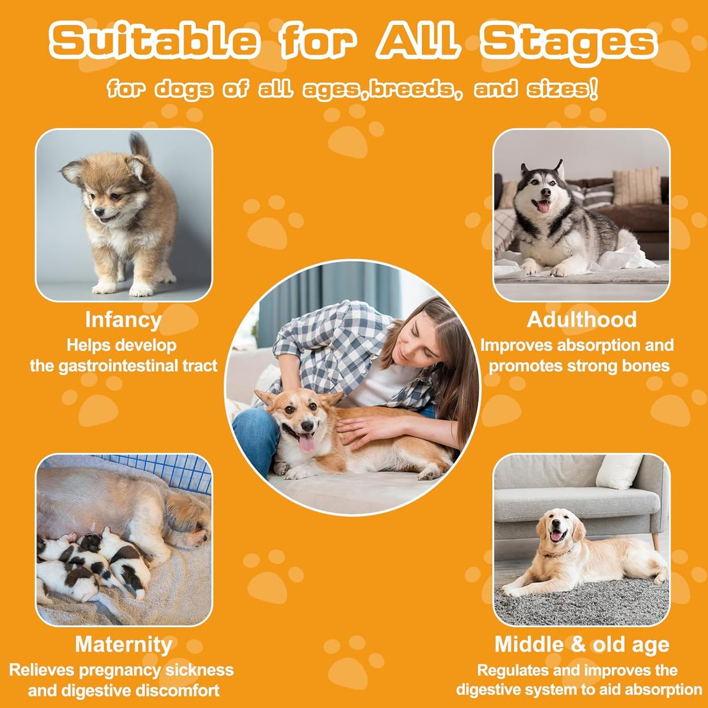 Probiotics for Dogs & Cats, with Prebiotics, Digestive Enzymes,Inulin, Pumpkin for Digestive, Gut, Skin & lmmune Health, Reduce Diarrhea & Gas, Small and Large Dog & Cats, 120 Chews