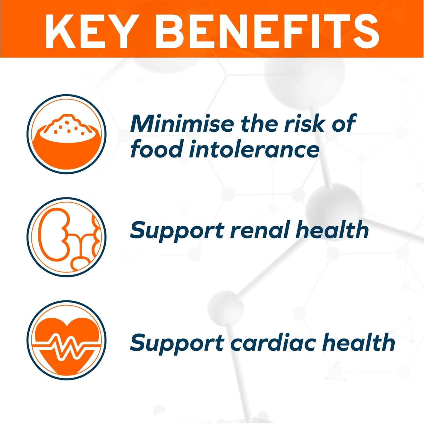 Forza10 - Cat Food, Vet-Formulated Renal Wet, Non GMO, Kidney Care Food with Lamb Flavor, Crafted for Adults, Made in Italy (3.5 oz, 12 Pack)