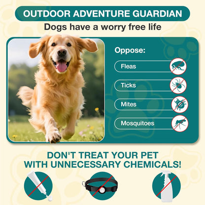 Flea and Tick Prevention for Dogs Chewables, 60 Chews, Natural Dog Flea and Tick Treatment Chewable Supplement for All Breeds & Ages, Beef Flavor