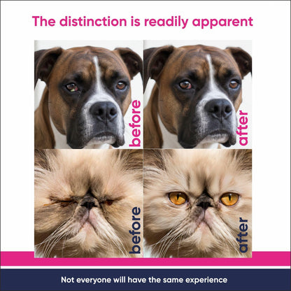 Heal Eyes Daily Eye Care Drops 1 fl oz (30 ml) for Cats, Dogs, Birds & Horses – Gentle Tear Stain Remover, Soothing Eye Cleaner, Alcohol-Free & Vet-Formulated