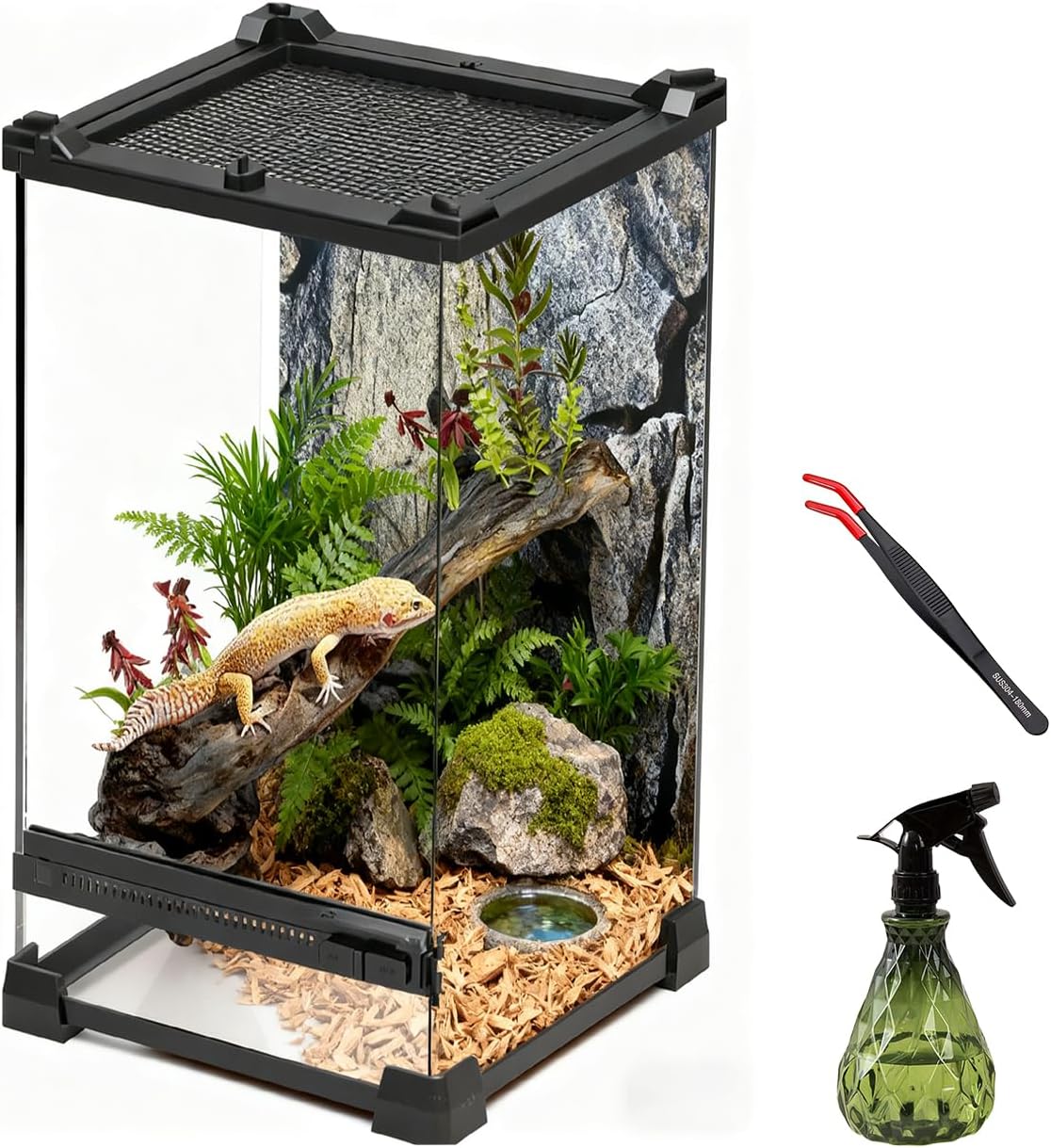 Reptile Tall Glass Terrarium Rainforest Habitat Single Door with Screen Ventilation,Small Reptile Terrarium for Spiders, Tarantulas, Snail, Mantis, Lizard (8 * 8 * 12 inch)