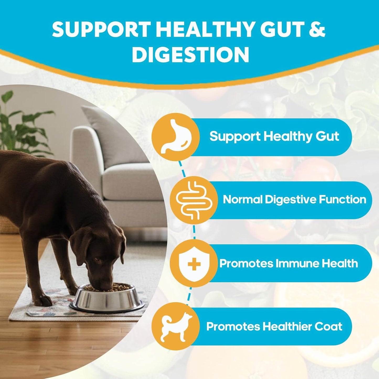 Probiotics for Dogs, Dog Probiotics with Digestive Enzymes with and Prebiotics for Support Gut & Digestion Health, Immune Support, Reduce Diarrhea, 60 Capsules