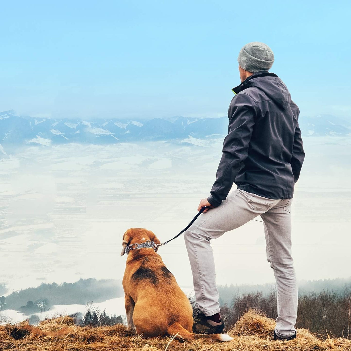 Prong Collars for Dogs, No Pull Dog Collar, Dog Training Collar for Large Medium Small Dogs, Stainless Steel Adjustable with Comfort Rubber Tips (Large, 4.0mm, 23.6-Inch)