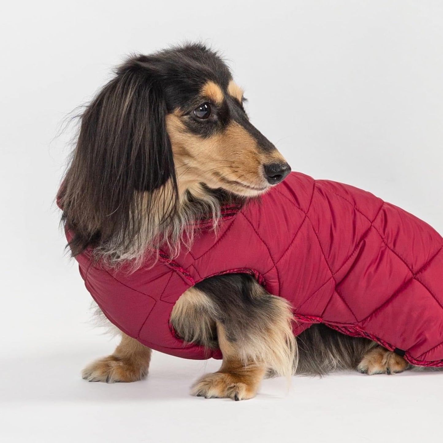 Fitwarm Reversible Quilted Dog Coat, Cozy Winter Clothes for Small Dogs Boy Girl, Windproof Thermal Pet Jacket, Red, Burgundy, XL