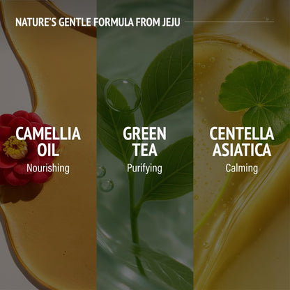 Vegan Dog Shampoo Bar Premium K-Beauty Inspired Gentle Dog Shampoo Bar for Sensitive Skin with Green Tea, Camellia Oil & Centella Asiatica, Elegantly Scented (Silent Grove)