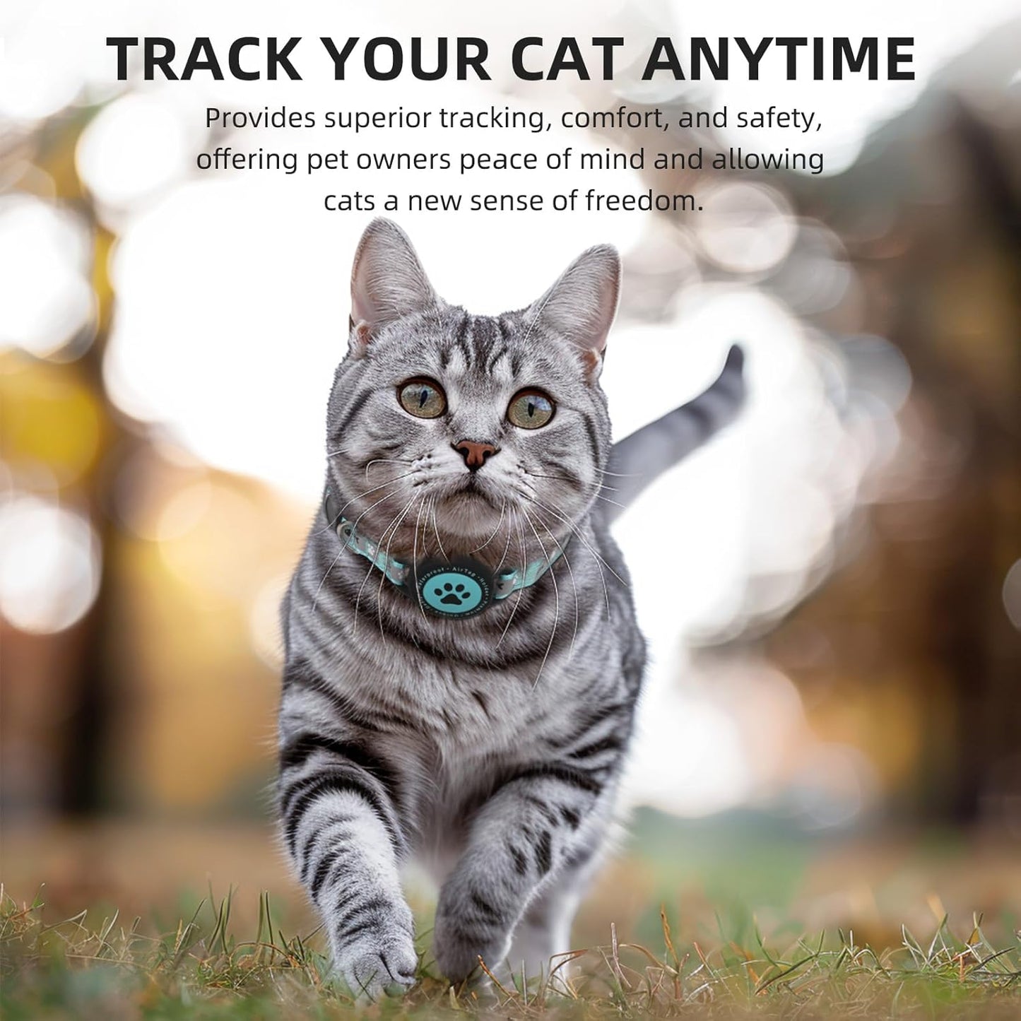 Waterproof Airtag Cat Collar, Reflective Cat Airtag Collar with Bell, Breakaway Cat Collar AirTag Holder, Lightweight Kitten Collar for Apple Air tag, Cat GPS Collars for Girl Boy Cats, Kitten (Teal)