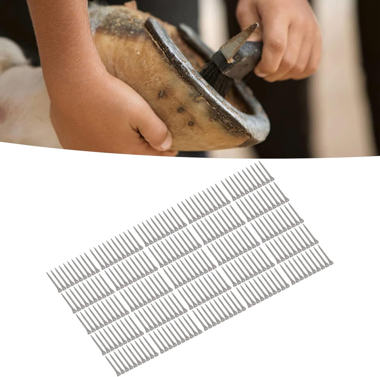 250PCS Horseshoe Nails, High Hardness Low Carbon Steel Farrier Tools, Portable Small Horse Shoeing Nails with Optimal Elasticity for Aluminum Alloy Horseshoes, Durable Animal Husba