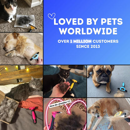 DakPets Deshedding Tool | Stainless Steel Grooming Brush for Shedding Fur Removal - Cats and Dogs