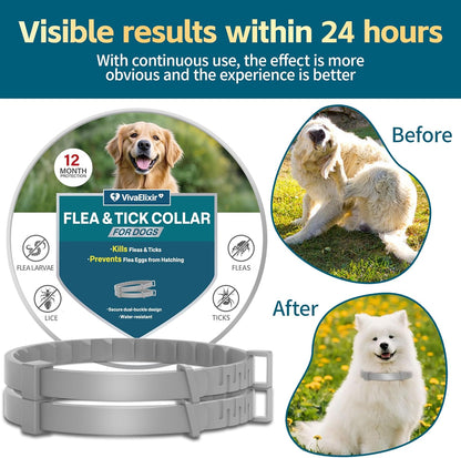 Flea Collars for Dogs, Dog Flea & Tick Control Flea Collar 12 Months Protection, Waterproof Dog Flea Collar, Flea Prevention for Dogs with Comb and Prevention Treatment Drop, 2Pack