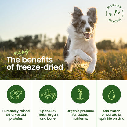 smallbatch Freeze-Dried Beef Dog Food – Grain Free, Organic Produce – Raw Dehydrated Beef Small Bites, High Protein Complete Meal or Topper – Humanely Raised, Made in USA, 7oz