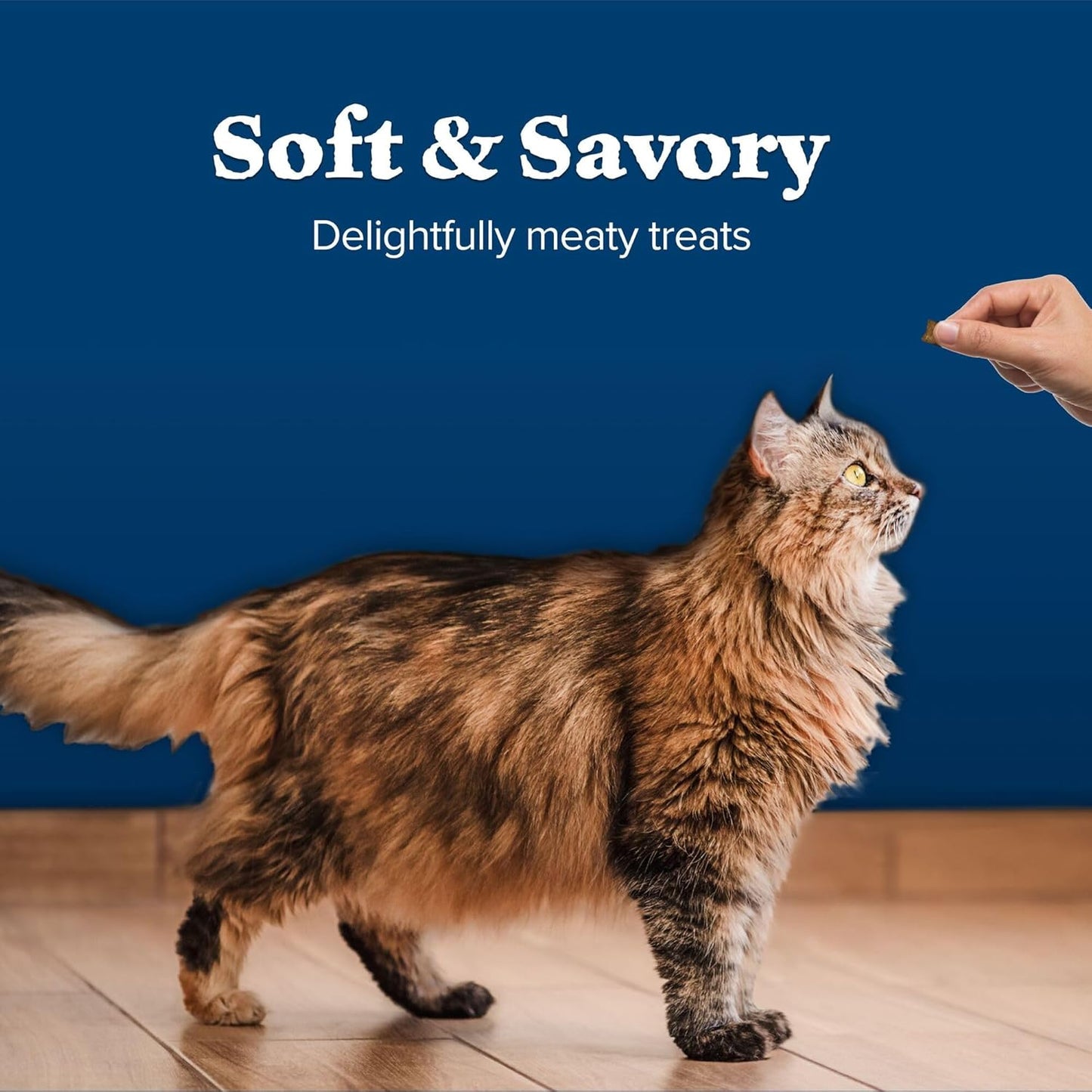 Blue Buffalo Wilderness Grain Free Soft-Moist Chicken & Salmon Cat Treats, 2-oz. Bag