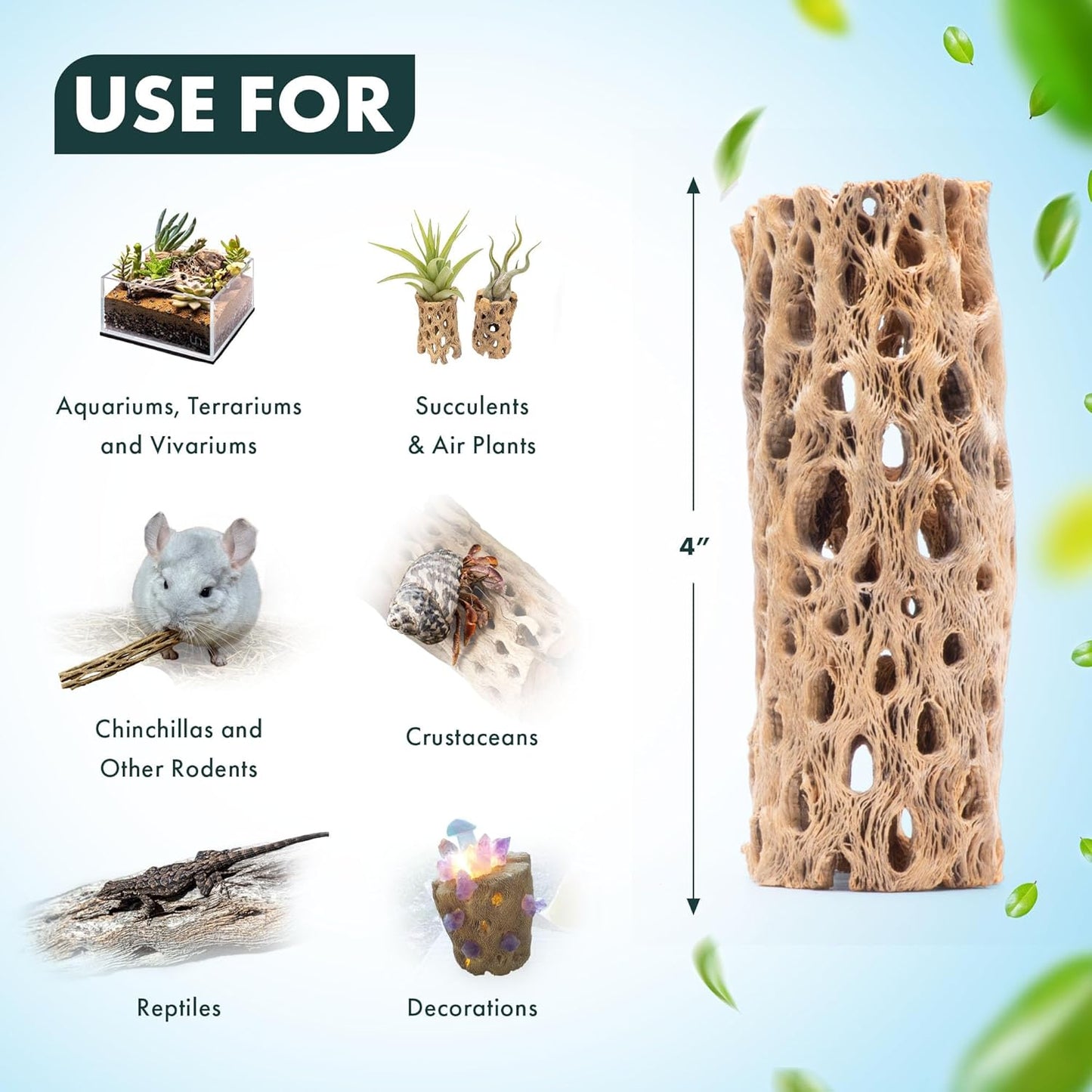 SubstrateSource Natural Cholla Wood - Driftwood for Aquariums, Air Plant Base, Hermit Crab and Freshwater Shrimp Hideout, Fish Tank Decoration, Chinchilla Chews, Reptile Habitat Wood - 4 Inch, 3pc