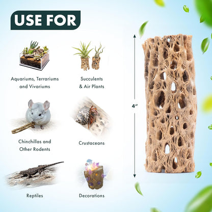 SubstrateSource Natural Cholla Wood - Driftwood for Aquariums, Air Plant Base, Hermit Crab and Freshwater Shrimp Hideout, Fish Tank Decoration, Chinchilla Chews, Reptile Habitat Wood - 4 Inch, 3pc