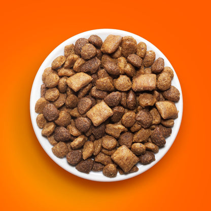 IAMS Healthy Enjoyment Dry Cat Food Chicken & Salmon Recipe, 3 lb. Bag