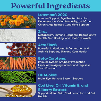 Furrever Young Soft Chews – Senior Dog Healthy Aging Supplement with Antioxidants for Mobility, Immune Health & Cognitive Support – Natural Senilife Alternative (90 Count)