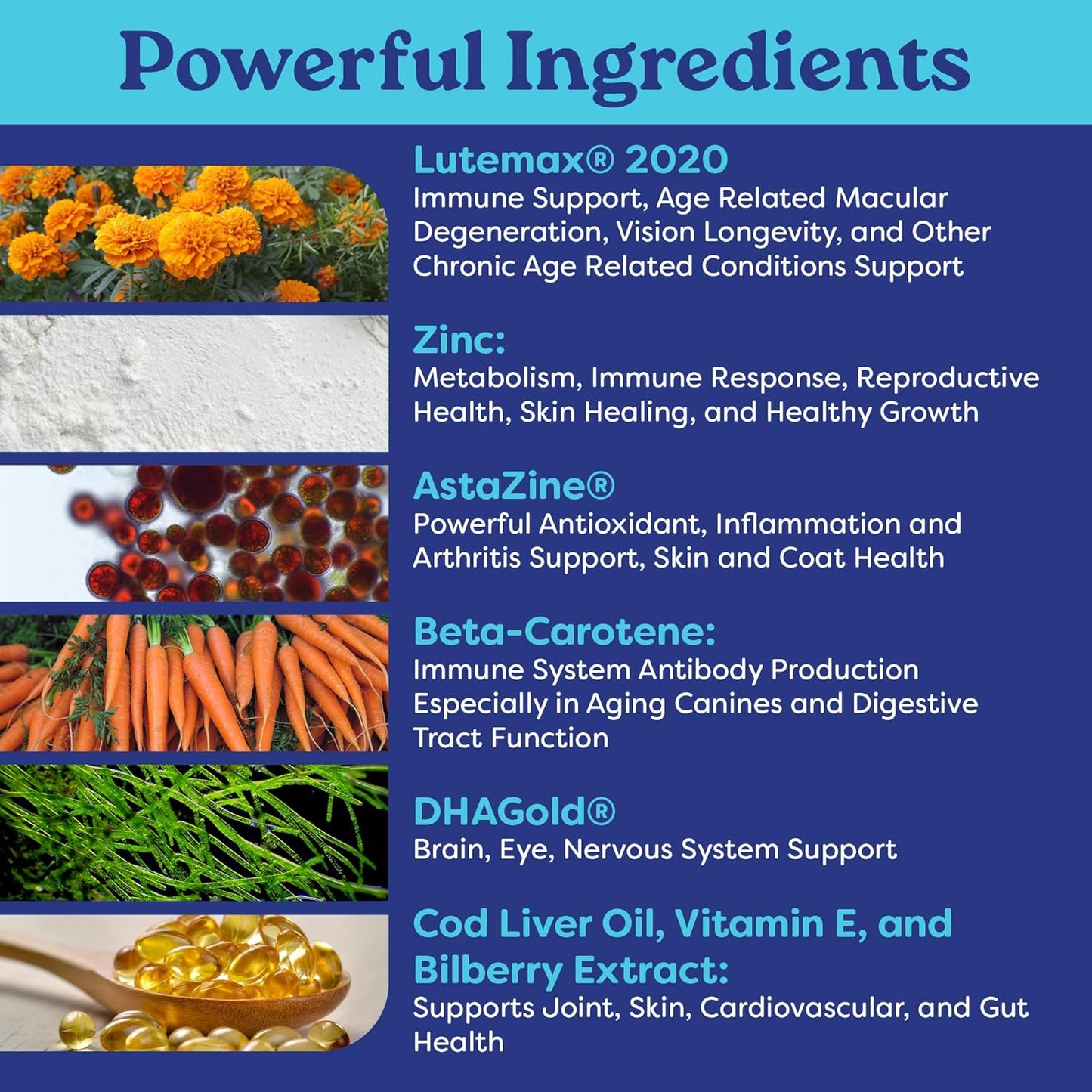 Furrever Young Soft Chews – Senior Dog Healthy Aging Supplement with Antioxidants for Mobility, Immune Health & Cognitive Support – Natural Senilife Alternative (90 Count)