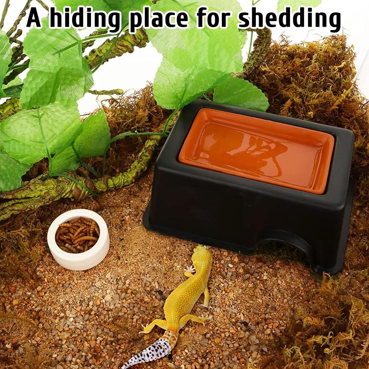 Hamiledyi Reptile Hideouts Natural Coconut Shells Hut Hermit Crab Climbing Toys and 4 Pcs Humid Hide for Leopard Gecko Moist Reptile Hide Box for Spider Snake Chameleon