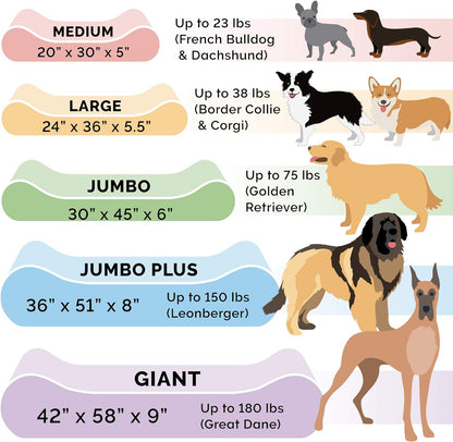 Furhaven Dog Bed Liner Water-Resistant Contour Luxe Lounger Foam Mattress Protector Cover - White, Large