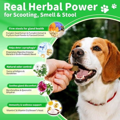 Dog Probiotics & Digestive Enzymes – Pumpkin Fiber Chews for Gut Health, Diarrhea & Upset Stomach Relief, Gas & Stool Support, Beef Flavor Soft Chews – 90 Count