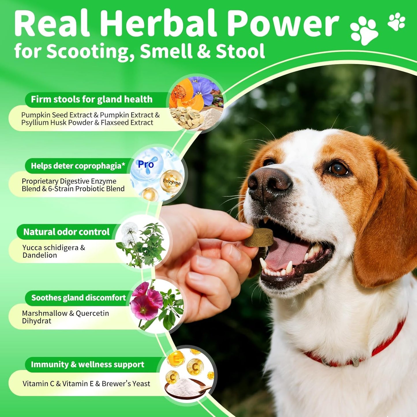 Dog Probiotics & Digestive Enzymes – Pumpkin Fiber Chews for Gut Health, Diarrhea & Upset Stomach Relief, Gas & Stool Support, Beef Flavor Soft Chews – 90 Count