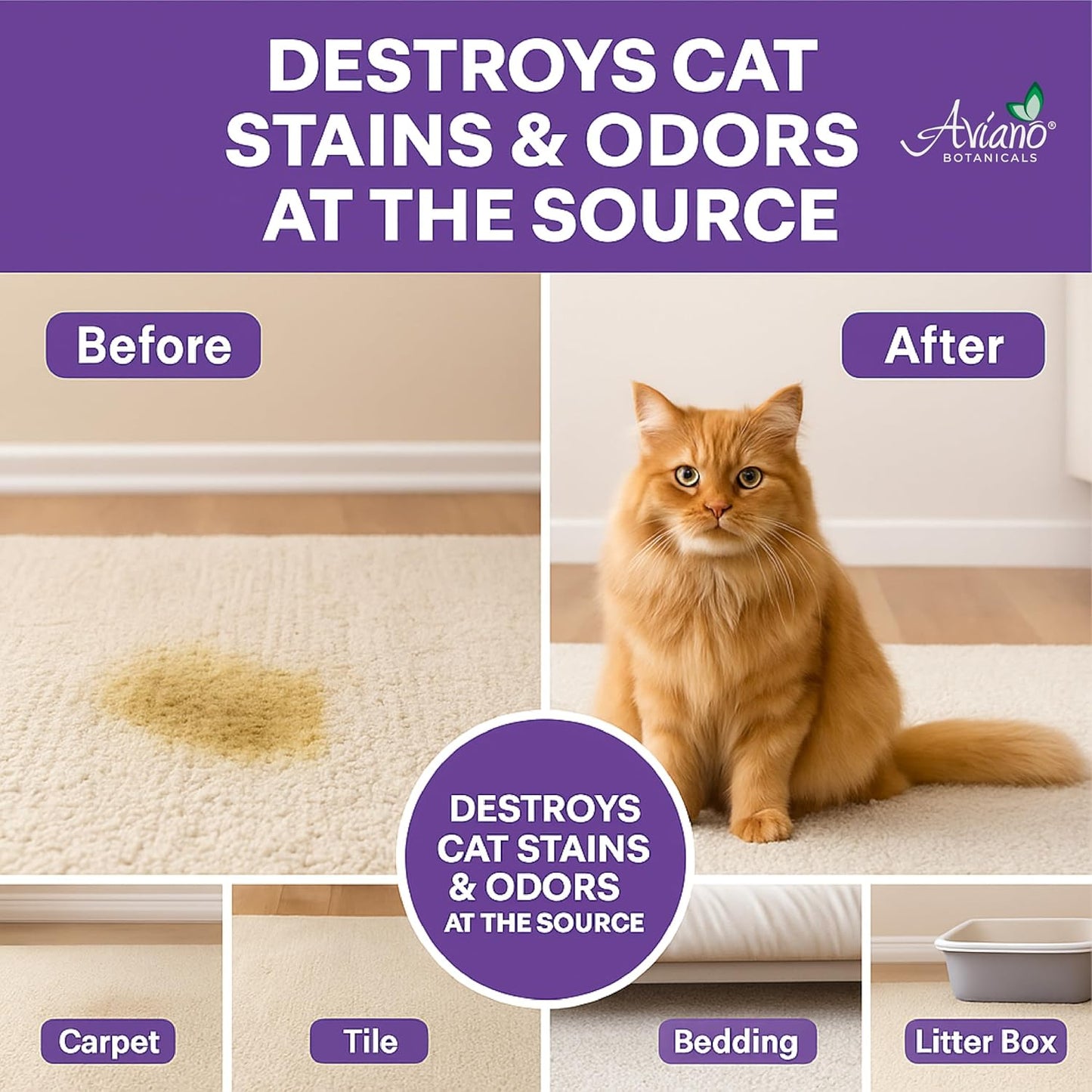 Aviano Cat Enzyme Cleaner – 1 Gallon – Made in USA – Odor Eliminator with Lemon Scent – Pet & Carpet Enzyme Cleaner for Cat Pee, Litter Boxes & Furniture