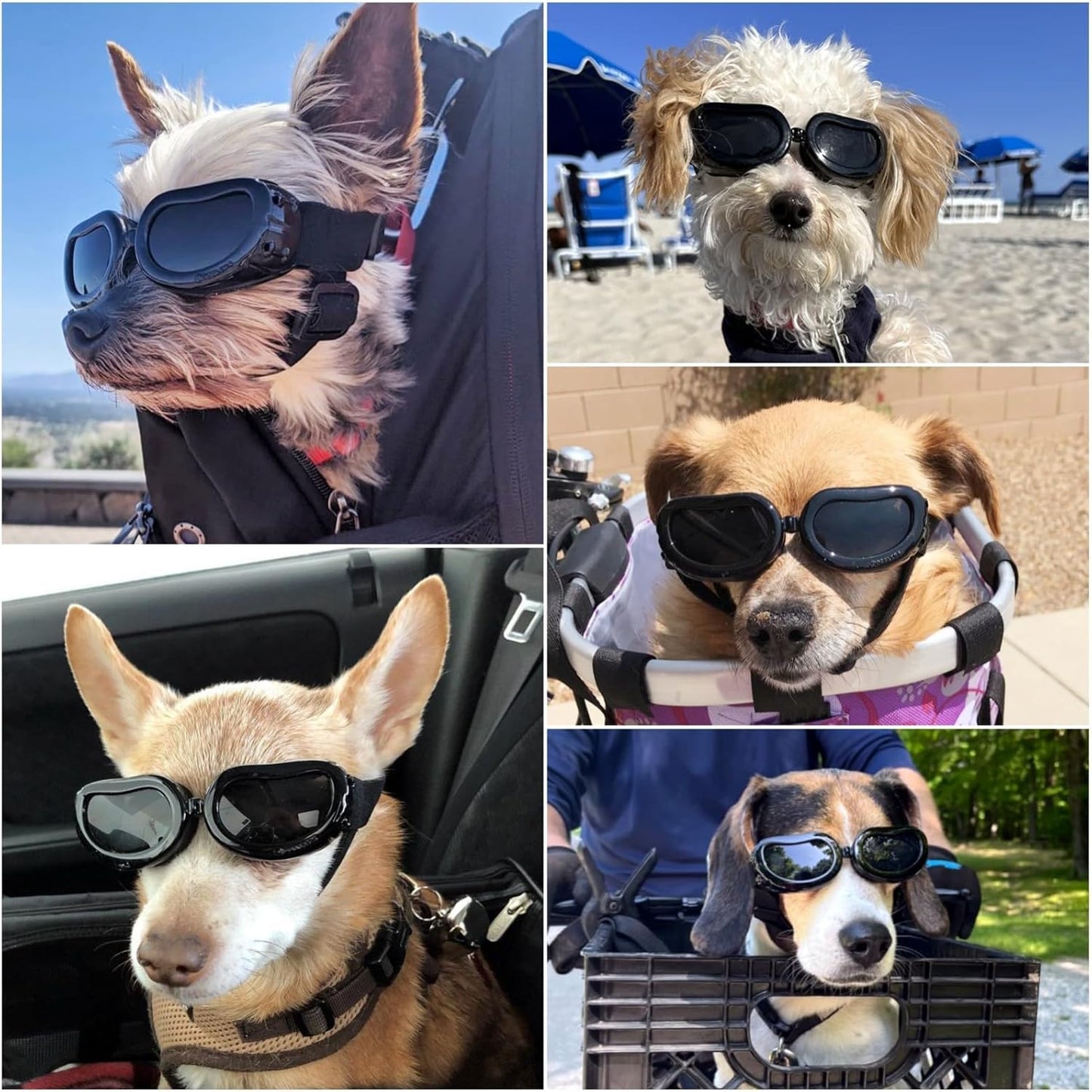 Enjoying Dog Goggles Small Breed, UV Protection Dog Sunglasses Small Breed, Driving Puppy Eye Protection, Windproof Dustproof Anti-Fog, Breathable, Adjustable Straps, Black