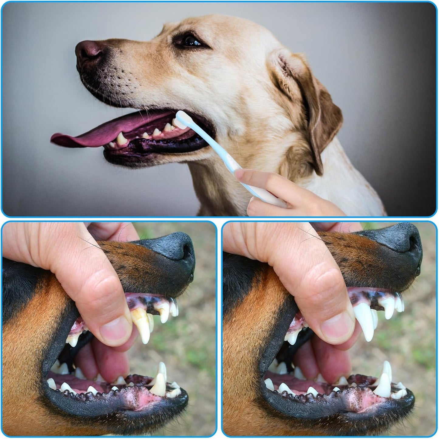 6Pcs 360-Degree Small Dog and Cat Soft Toothbrush Cat Dental Care Dog Toothbrush Soft Silicone Pet Toothbrushes for Puppy, Small Dogs and Cats Set of 3 Different Shapes