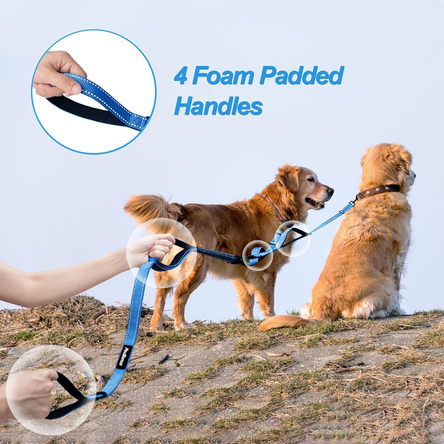PetBonus No Tangle Double Dog Leash and Dog Seat Belt for Car