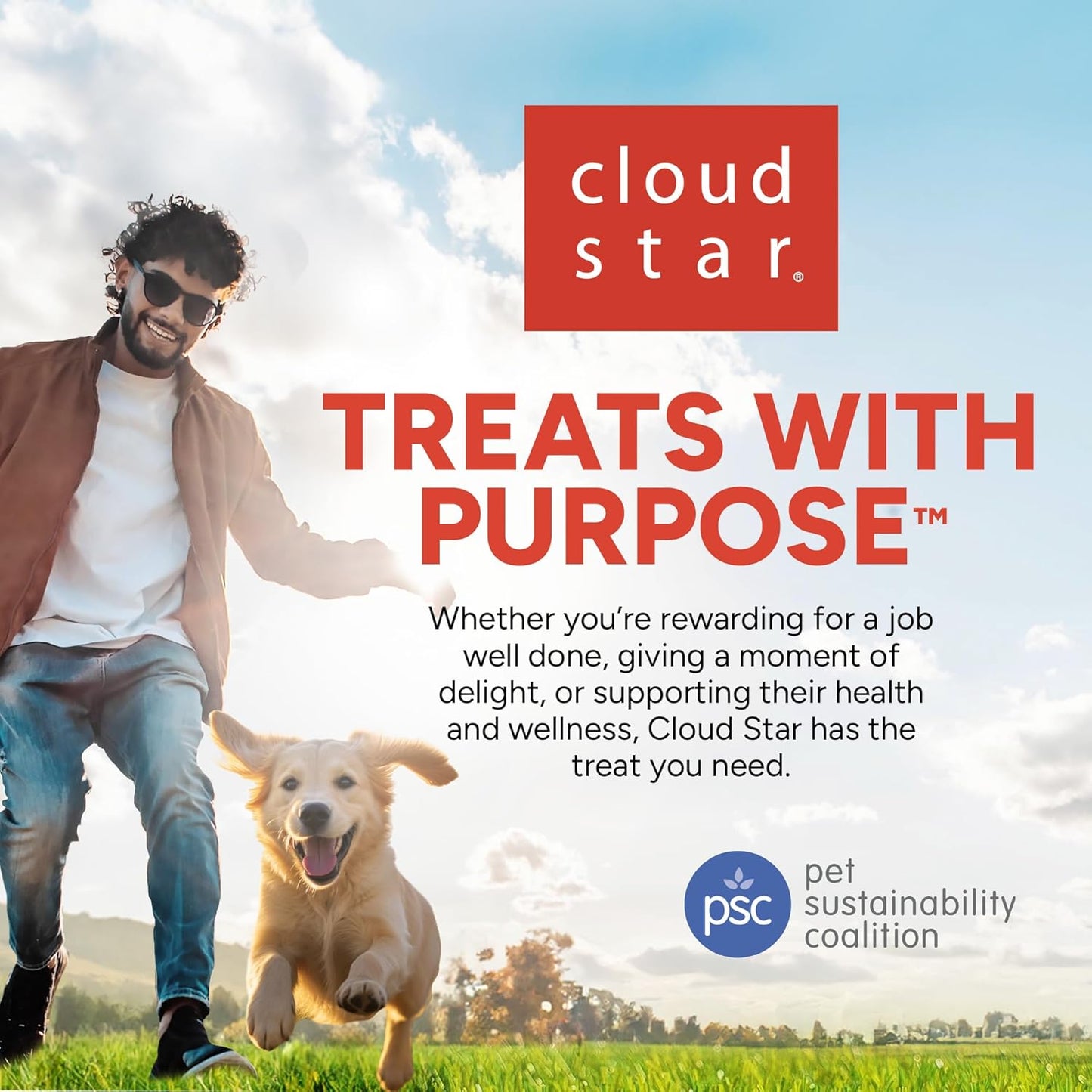 Buddy Biscuits 3 oz Pouch of Grain Free Soft & Chewy Cat Treats Made with Natural Tender Chicken