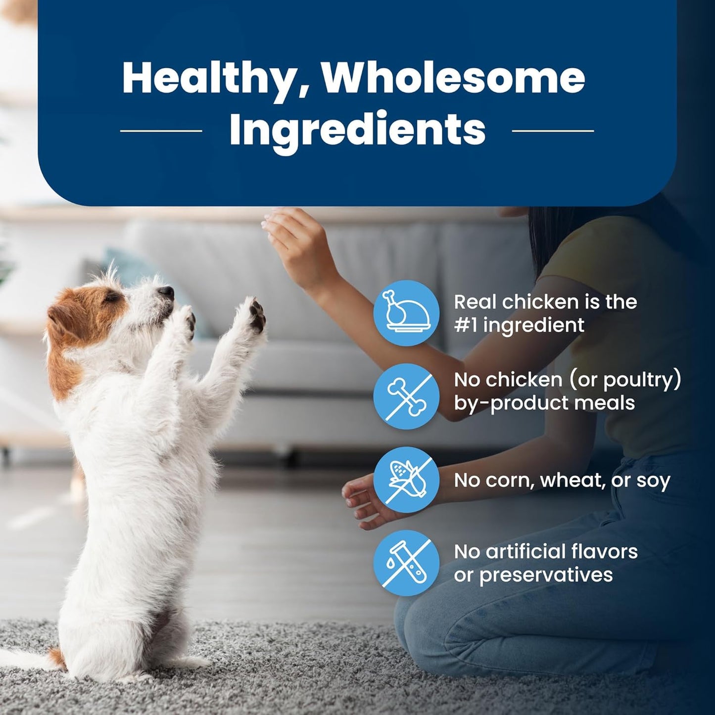 Blue Buffalo Life Protection Formula Puppy Dry Dog Food with DHA and ARA, Made with Natural Ingredients, Chicken & Brown Rice Recipe, 5-lb Bag