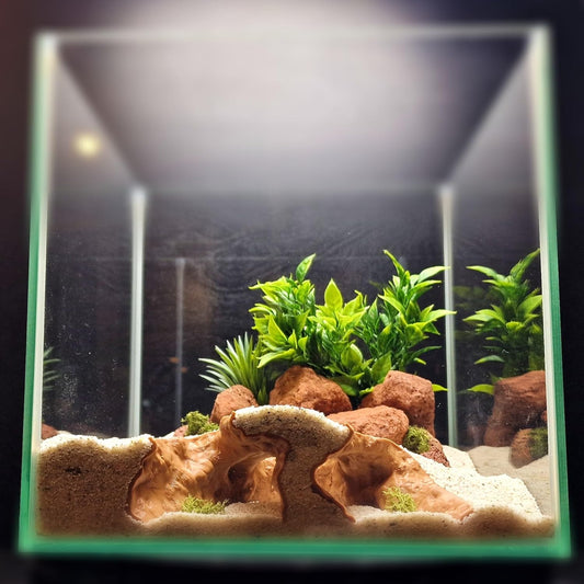 Aquarium Cave Hide for Pleco, Shrimp, Corydoras, and Reptiles, Natural Cave Design Terrarium Decoration