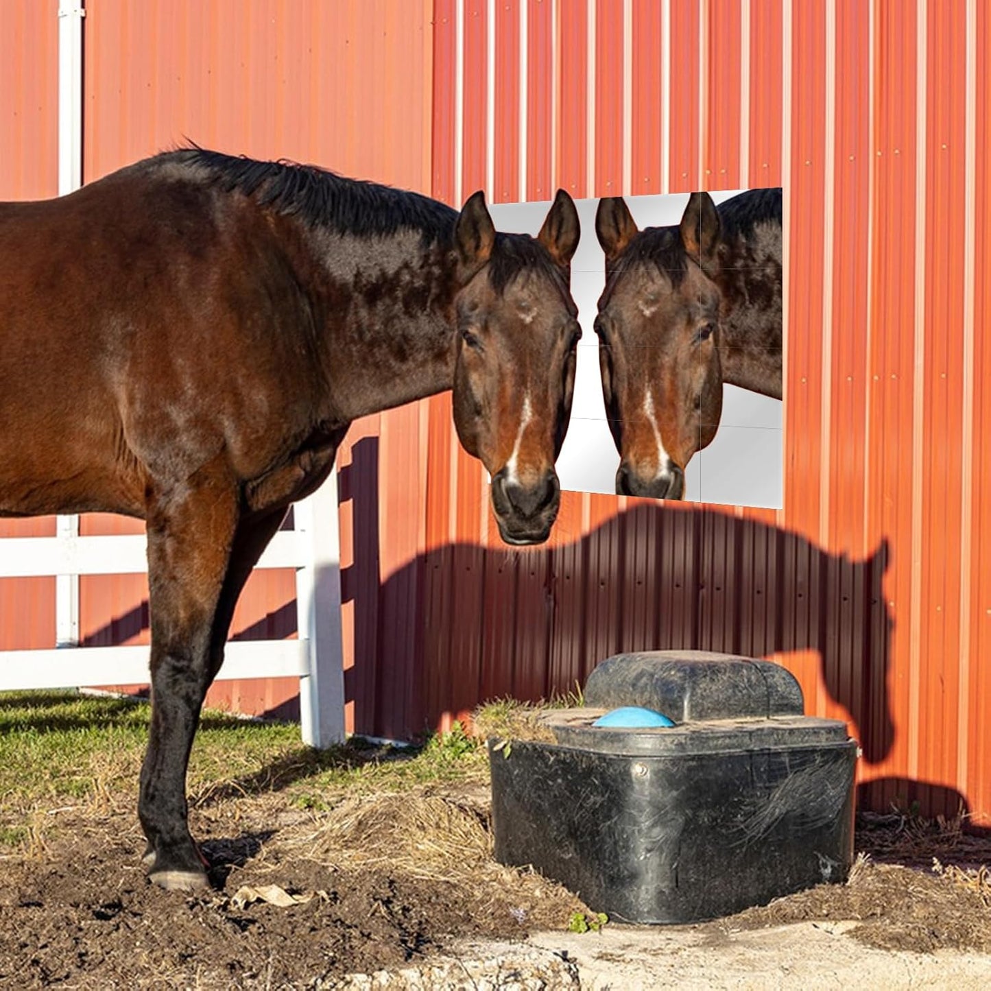 16 PCS Horse Mirror Sticker Soft Safe Non Glass Horse Toys for Horses to Play and Stable Barn Stall Toy Entertainment(6inch*6inch)