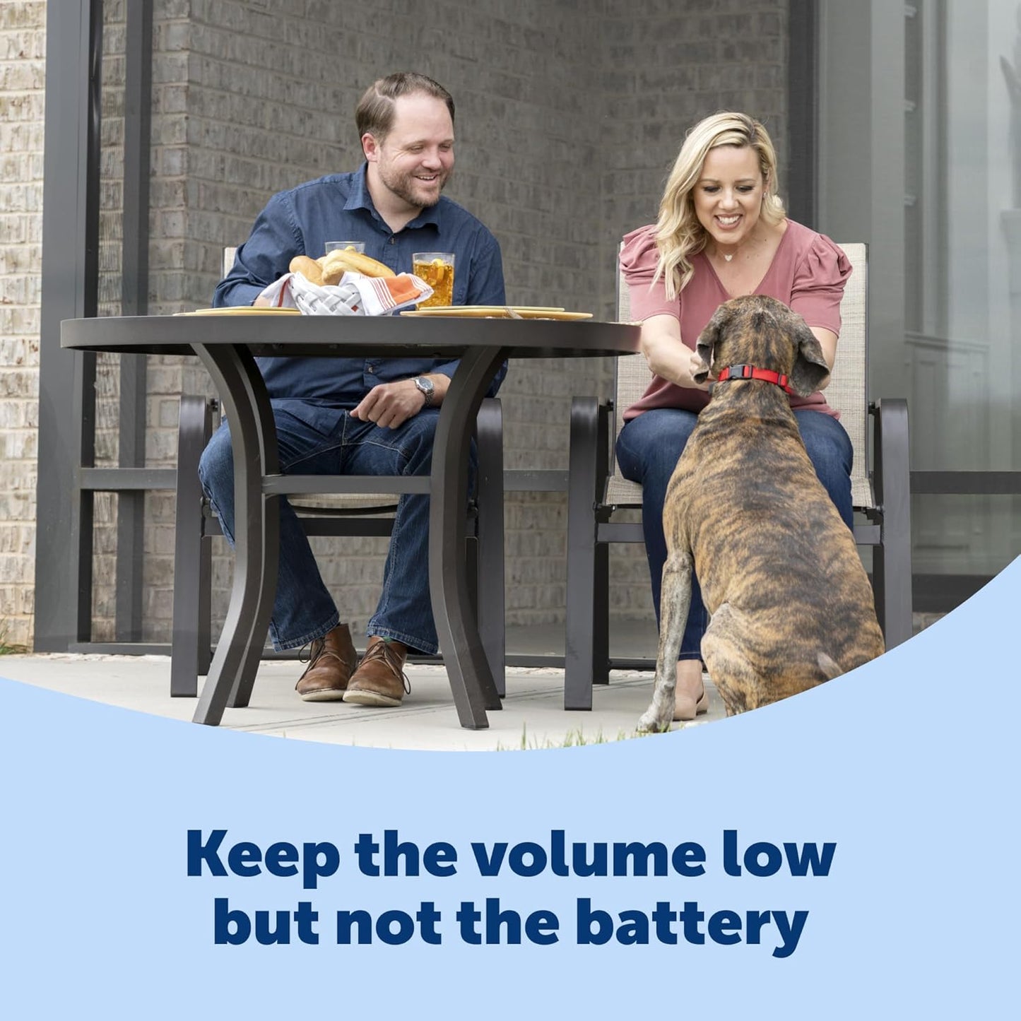 PetSafe Basic Bark Control Collar - Effective & Accurate Bark Detection Collar - Safe & Reliable Training with Multiple Static Stimulation Levels - Waterproof & Battery-Operated