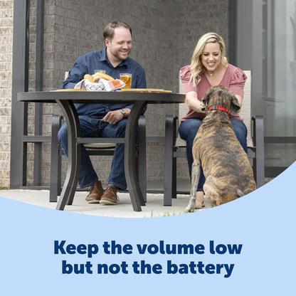 PetSafe Basic Bark Control Collar - Effective & Accurate Bark Detection Collar - Safe & Reliable Training with Multiple Static Stimulation Levels - Waterproof & Battery-Operated