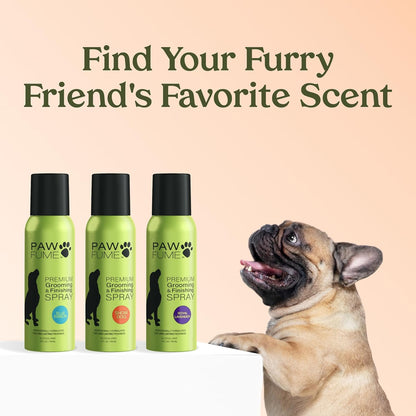 PAWFUME Dog Perfume Spray Long Lasting Scent for Grooming, Show Dog, 1-Pack – Keep Your Pup Fresh All Day – Hypoallergenic, Alcohol-Free, Detangling Formula – Moisturizing Pet Cologne Spray for Dogs