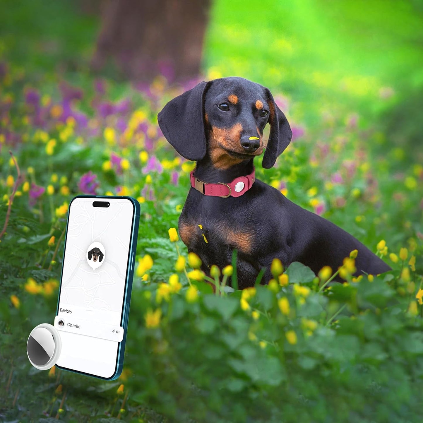 AirTag Dog Collar - Genuine Leather Dog Collar with Apple AirTag Holder and Metal Buckle - Smart GPS Tracking Pet Collars (Pink, L, 17"-21" Neck Fit)