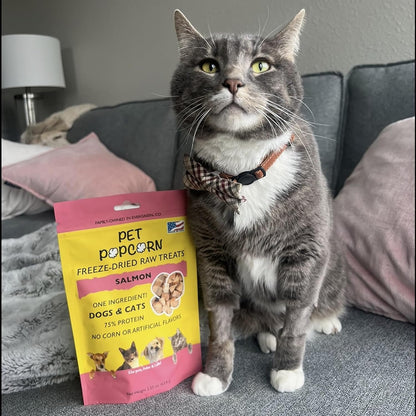 Freeze-Dried Raw Treats - Salmon - 2.5oz Bag, Dog & Cat Snacks, Single Ingredient, Natural, Pet Food Topper-Reward, Protein‑Packed Fish