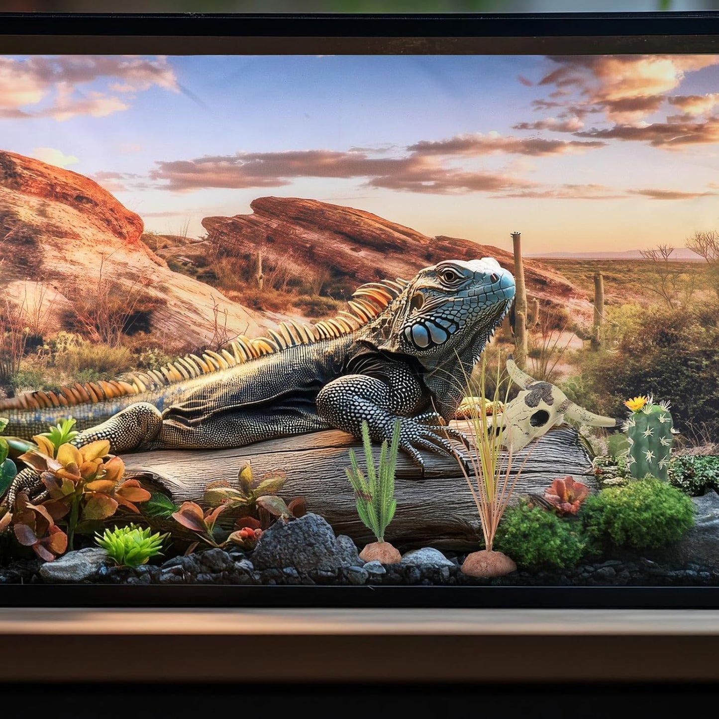 Bearded Dragon Tank Background 35 x 17 Inches Reptile Habitat Terrarium Background Blue Sky Cactus Sun and Desert Rain Forest Plant for Lizard Chameleon Gecko Snake Amphibian Terrarium Decor