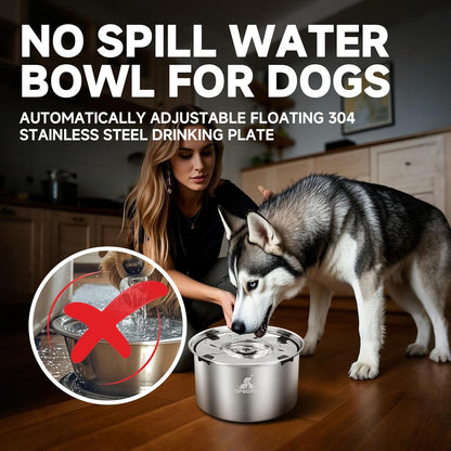 Dog Water Bowl No Spill and Slow Feeder Dog Bowl, 304 Stainless Steel