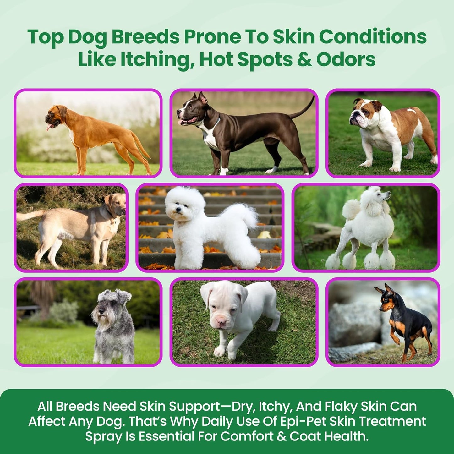 Epi-Pet Veterinary Formulated Dog Hot Spot and Dog Itch Spray, Pet Skin Treatment Spray for Allergies, Deshedding and Redness, Use it as Skin and Coat Conditioner (4 Fl Oz (Pack of 1), Lavender)