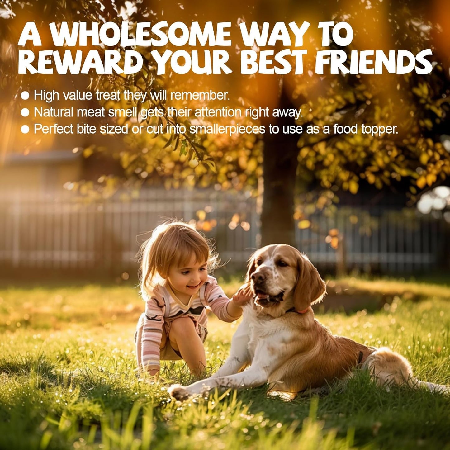 ASMPET Dog Treats Chews, Chicken Wrapped Rawhide Sticks (20 pcs 10.6 oz)