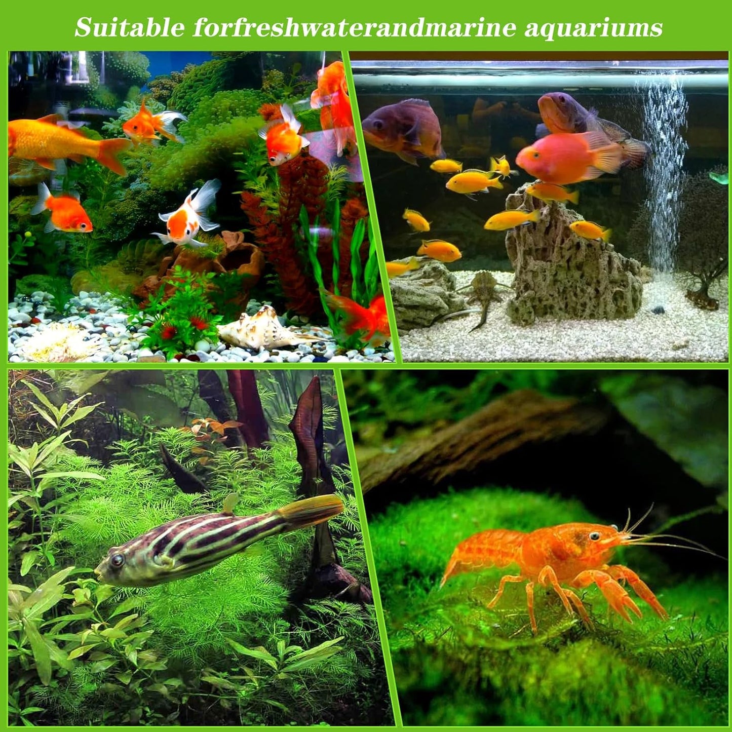 12PCS Pre Filter Sponge, Aquarium Filter Sponge 0.8" Aquarium Intake Sponges Replacement Foam Roll for Freshwater Saltwater Aquariums Fish Tank FilterAccessories