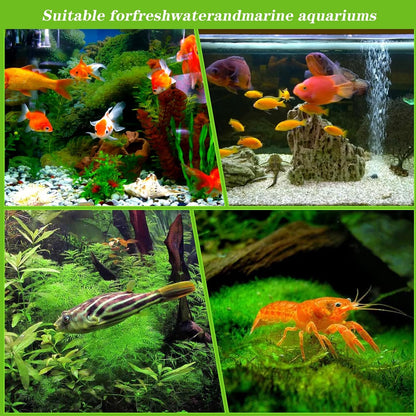 12PCS Pre Filter Sponge, Aquarium Filter Sponge 0.8" Aquarium Intake Sponges Replacement Foam Roll for Freshwater Saltwater Aquariums Fish Tank FilterAccessories