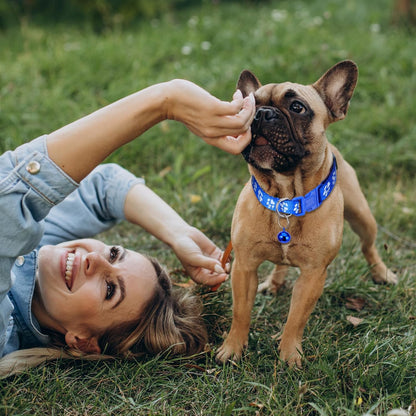 Giantree Puppy Collar with Bell, Puppy Whelping Collars, 8-Pack Basic & Reflective Cat Collars with Bells Colourful Adjustable Dog Collar for Small Pet Female Dogs Tiny Kitten Girls Animal