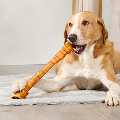 USA Beefhide Bones 15-17" Dog Chew Treats - Chicken Flavor, 1 Count/2 Pack