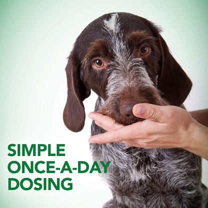 Vet's Best Probiotic Soft Chews Dog Supplement, Supports Dog Digestive Health, Promotes a Healthy Gut, 90 Day Supply