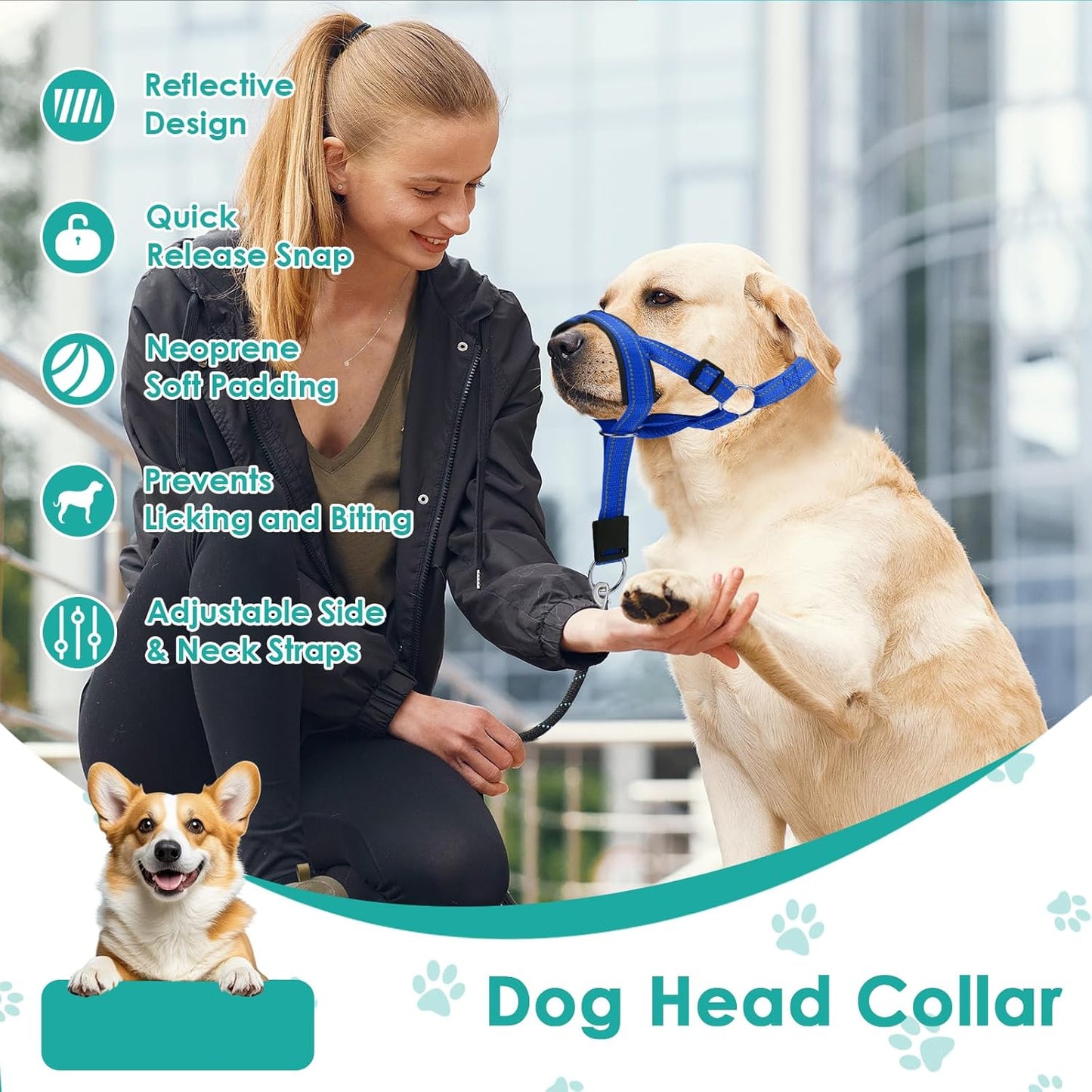 Dog Head Collar, Adjustable Dog Mouth Guard, Reflective Dogs Mouth Harness with Padded Nose Band, No Pull Head Collar Soft Dogs Muzzle for Medium Large Pets (Blue, L (Snout: 11.6"-14.8"))